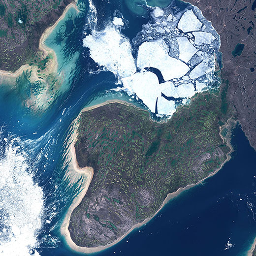 Satellite image